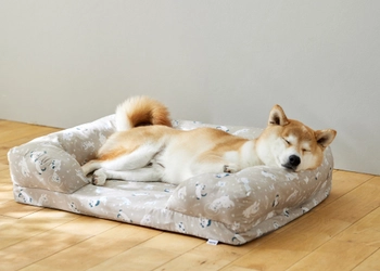 宇宙を漂う犬猫が可愛い！秋冬新柄コラボベッド全5アイテム9月8日より10％OFF開始