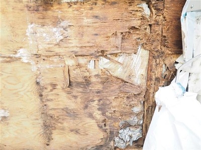 E3wTGNx6utDqhqaiWa8P.jpg?w=940&h=940