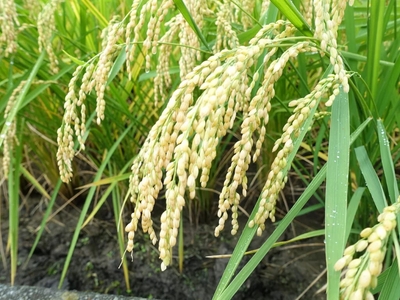 E4iDkfeqNyIVgwbBMKbd.jpeg?w=940&h=940