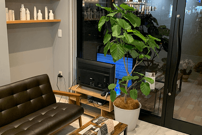 E4oZhq4giJ6QXFST48Kb.png?w=940&h=940