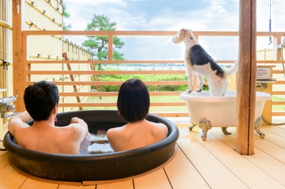 E5FfNoFoqTSr6hk9CzB2.jpg?w=940&h=940