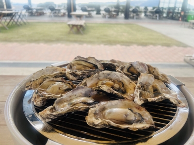 E7KlQa1VrEMxWuNH0sQt.jpg?w=940&h=940