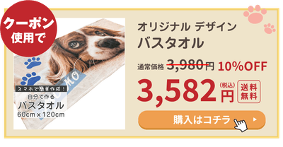 E8gqYoNIvWkh24vGV9rI.png?w=940&h=940