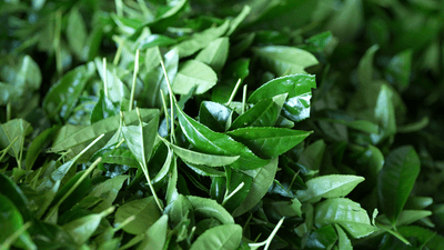 E9K9Q41kZ6mnkcsNAHPT.png?w=940&h=940