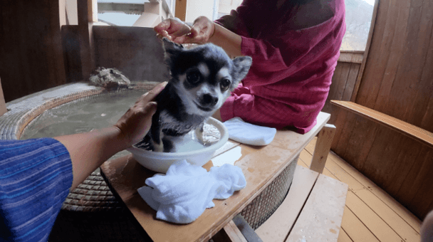 【ぬくもりの宿ふる川】北海道 定山渓温泉