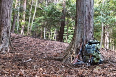 EBaICk4sS6msn9ZDP5Lx.jpg?w=940&h=940