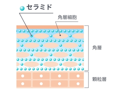 EBvnsGX6RmKy7Ns6LspA.jpg?w=940&h=940