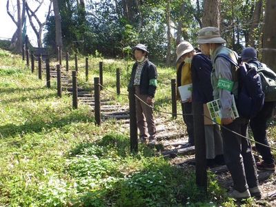 ECNjYqinPVIoQ5dPuY9f.jpg?w=940&h=940