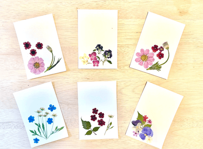 ECbqe2dbTau4QmWxBBbG.png?w=940&h=940