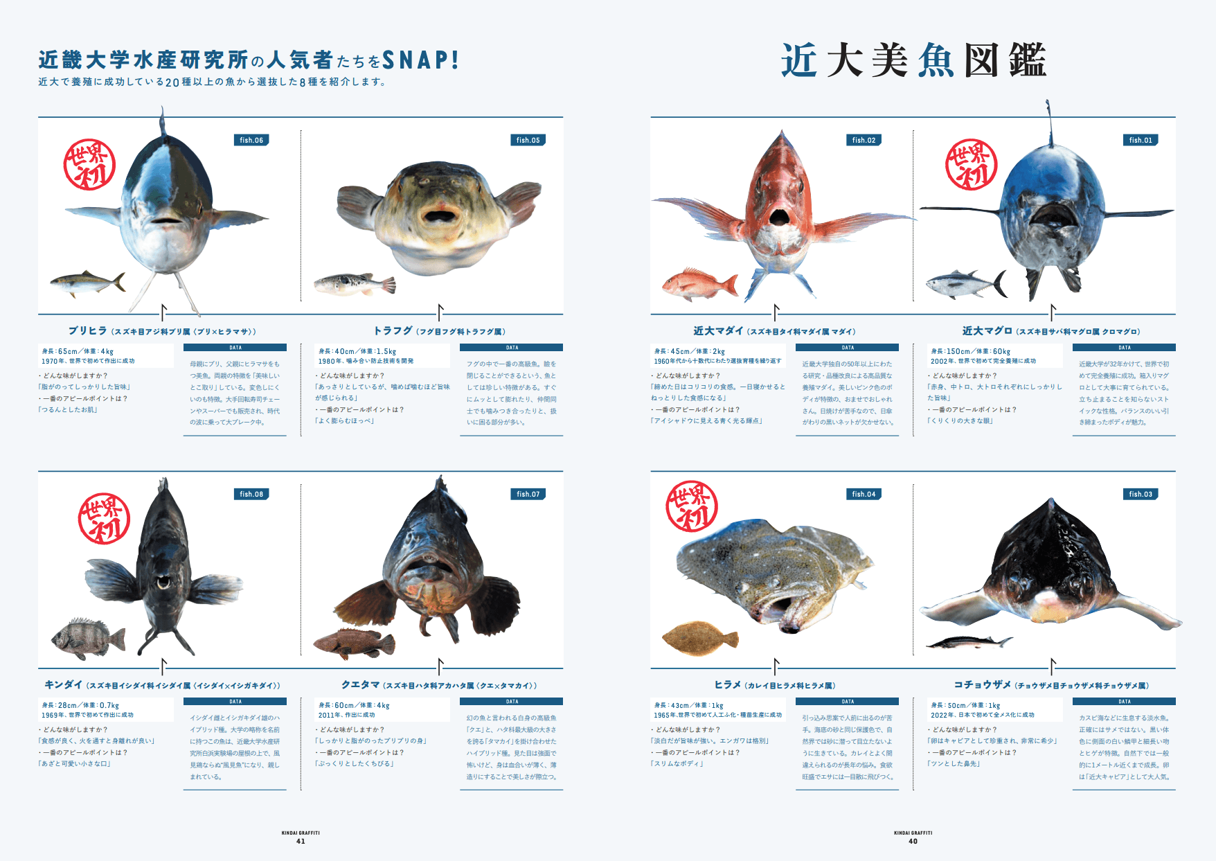 あの注目企画がリニューアル!?