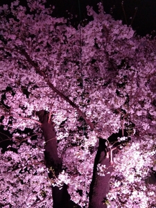 EGJWUEYG3gv5rMNGqxLK.jpg?w=940&h=940