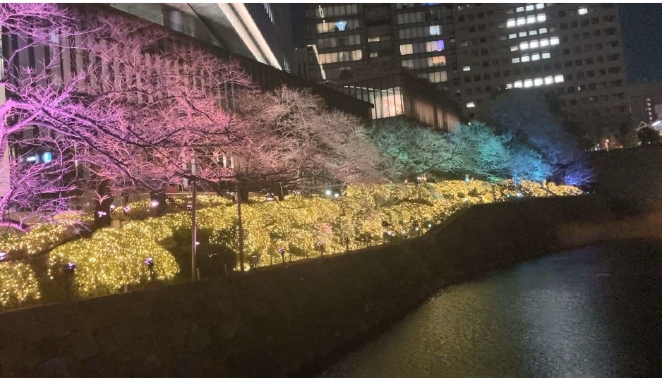 レインボーライトアップ イメージ