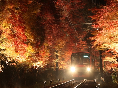 EHFefPpzuSax32RRmDSb.jpg?w=940&h=940