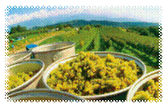 EIyL0RFifS0UlwNvzHK3.gif?w=940&h=940