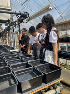 ELVnhJd3V4WTukKHHxjE.jpg?w=940&h=940