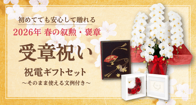 EMOn0yfJRfdQrSyr8NyC.png?w=940&h=940