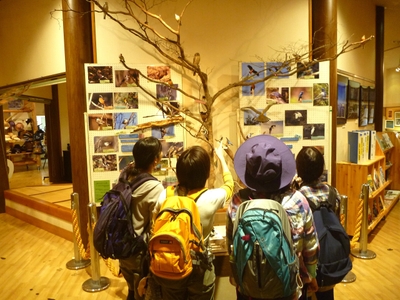 ENUMXZfzEtsDhuYrflJd.JPG?w=940&h=940