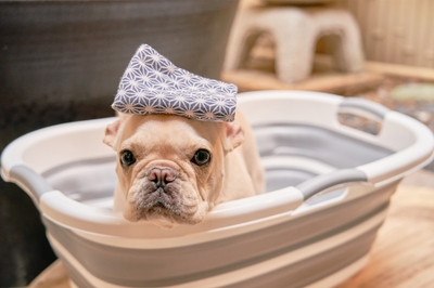 EOfjdxYZJhyF4QwCBXOV.jpg?w=940&h=940