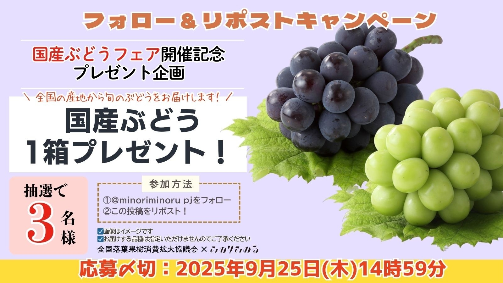 フォロー&リポストキャンペーン