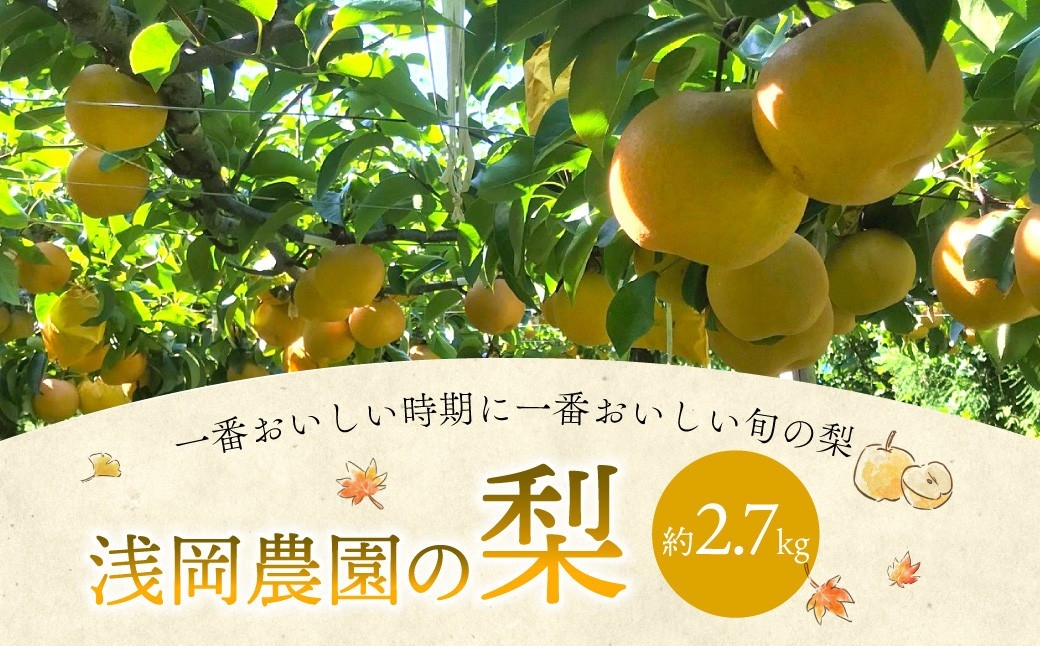 ꧁꧂✤花梨さまご確認用✤꧁꧂ 大分県九重町ふるさと納税】おいしい旬の梨をお届け！「浅岡農園の梨