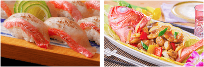 EPG4Cyu5S8EHkhRKymJf.png?w=940&h=940