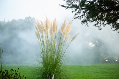 EPMxDW8m2fl0tFcwBANt.jpg?w=940&h=940