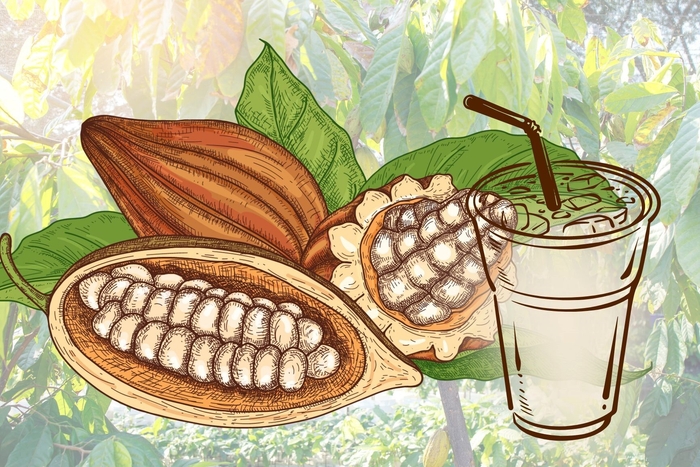 カカオ果汁ドリンク