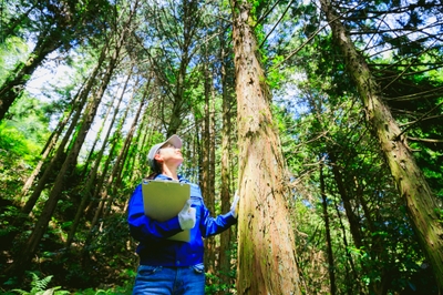 ERhp61rTw5HV3j8uMapW.jpg?w=940&h=940