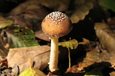 ETQck9VNtzJIT9neBhqk.jpg?w=940&h=940