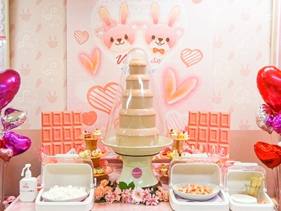 ピンクジンジャーチョコファウンテン