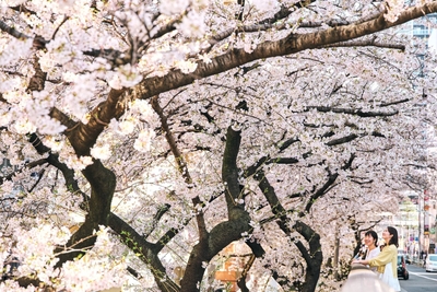 ETvXruiSOFYWZs7cGnfE.jpg?w=940&h=940