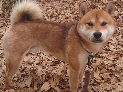 ETyPIpLhwXvrDRBK8mvt.jpg?w=940&h=940