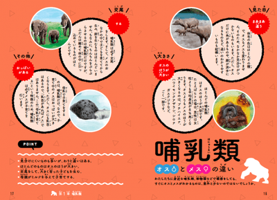 EUIjhFqCit17SChf6316.png?w=940&h=940