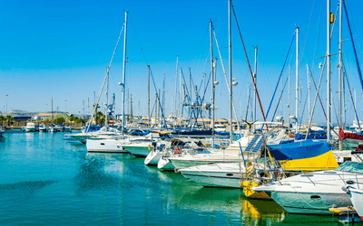 EUMsLdpgPrpmMNMN7uWG.png?w=940&h=940