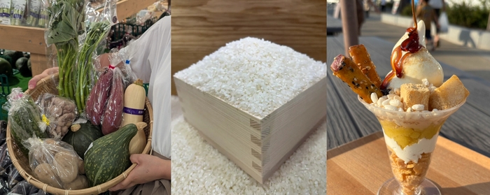 道の駅常総 秋の収穫祭を開催