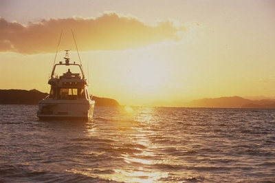 EZdDLkUnfWN7nSZFVPad.jpg?w=940&h=940