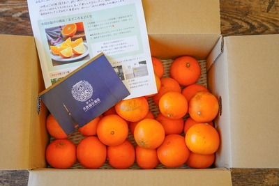 EaRxGFcsl6U5SrEUiQBl.jpg?w=940&h=940