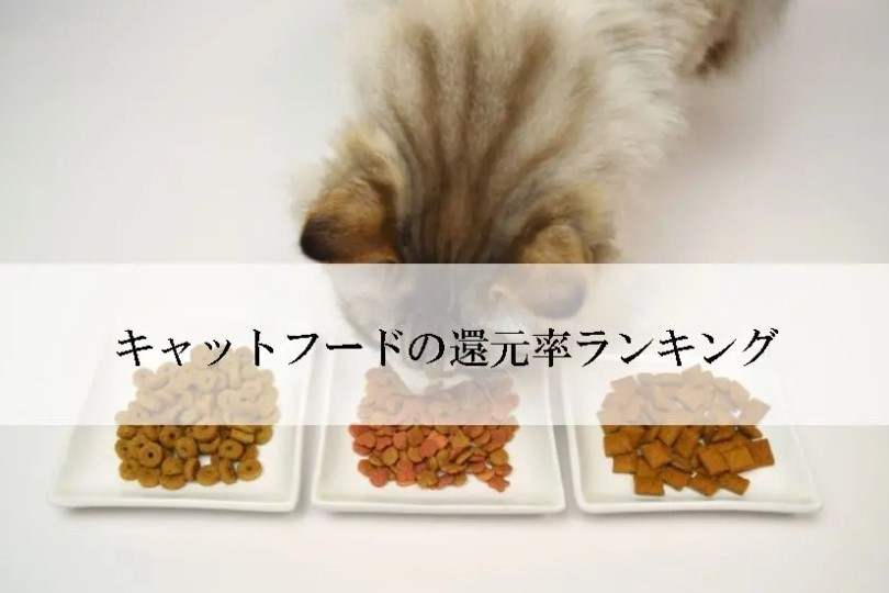 【2025年8月版】ふるさと納税でもらえる『釣り具』の還元率ランキングを発表