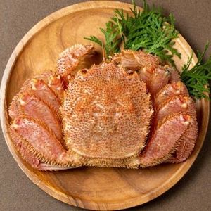 Eb7ZWWR0Wq0fxMZsBZlh.jpg?w=940&h=940