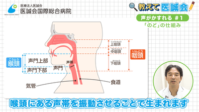 EbRe12kCvNNuJcAbMHvV.png?w=940&h=940