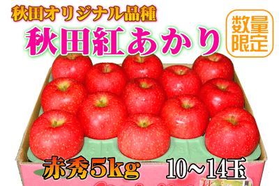秋田紅あかり 「赤秀」５㎏（１０～１４玉）【秋田オリジナル品種】