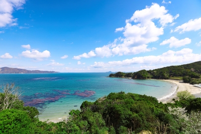 EcEtGStMaJ3ruwm9XwWI.jpg?w=940&h=940