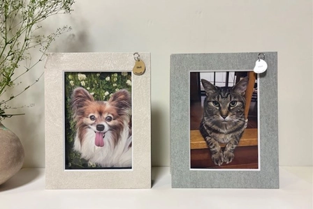 わんちゃん、ねこちゃん用フォトフレーム「プチテコレ」4/8発売！ プロのカメラマン撮影の写真をカタチに残すPETLIFコラボ企画