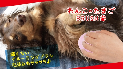 EdAM8eQ9TZy1CF24tsb2.jpg?w=940&h=940