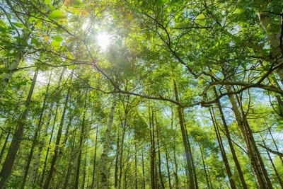 EgEknZCO4GxWJgpp33nA.jpg?w=940&h=940