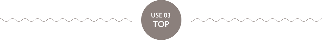 USE 03 TOP