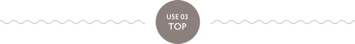 USE 03 TOP