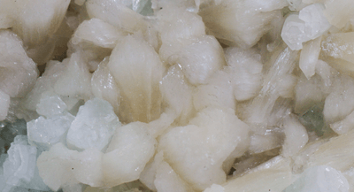 Ehz3xvnRG1jOMCUWwIml.png?w=940&h=940