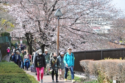 EippQPAfNnvidx3Ja1uq.jpg?w=940&h=940