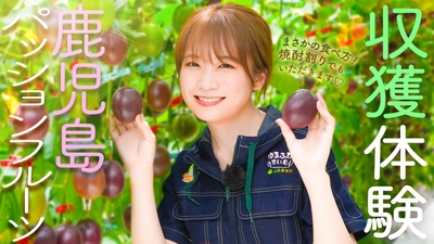 Eiw6Ew5rK2K7dD7rWAj4.jpg?w=940&h=940